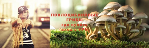 дмт Кинешма