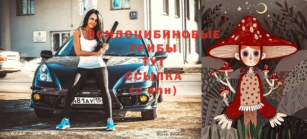 дмт Кинешма
