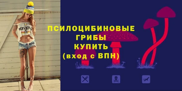 дмт Кинешма