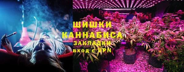 дмт Кинешма