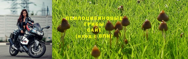 дмт Кинешма